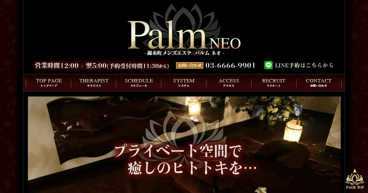 Palm Neo(パルムネオ)