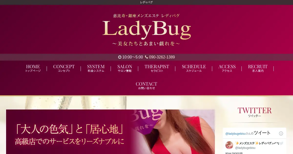 恵比寿・銀座・新富町メンズエステ｜レディバグ(Lady Bug)の口コミ＆体験談