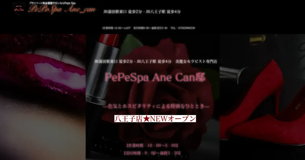 蒲田・八王子メンズエステ｜PePeSpa Ane_Can邸の口コミ＆体験談